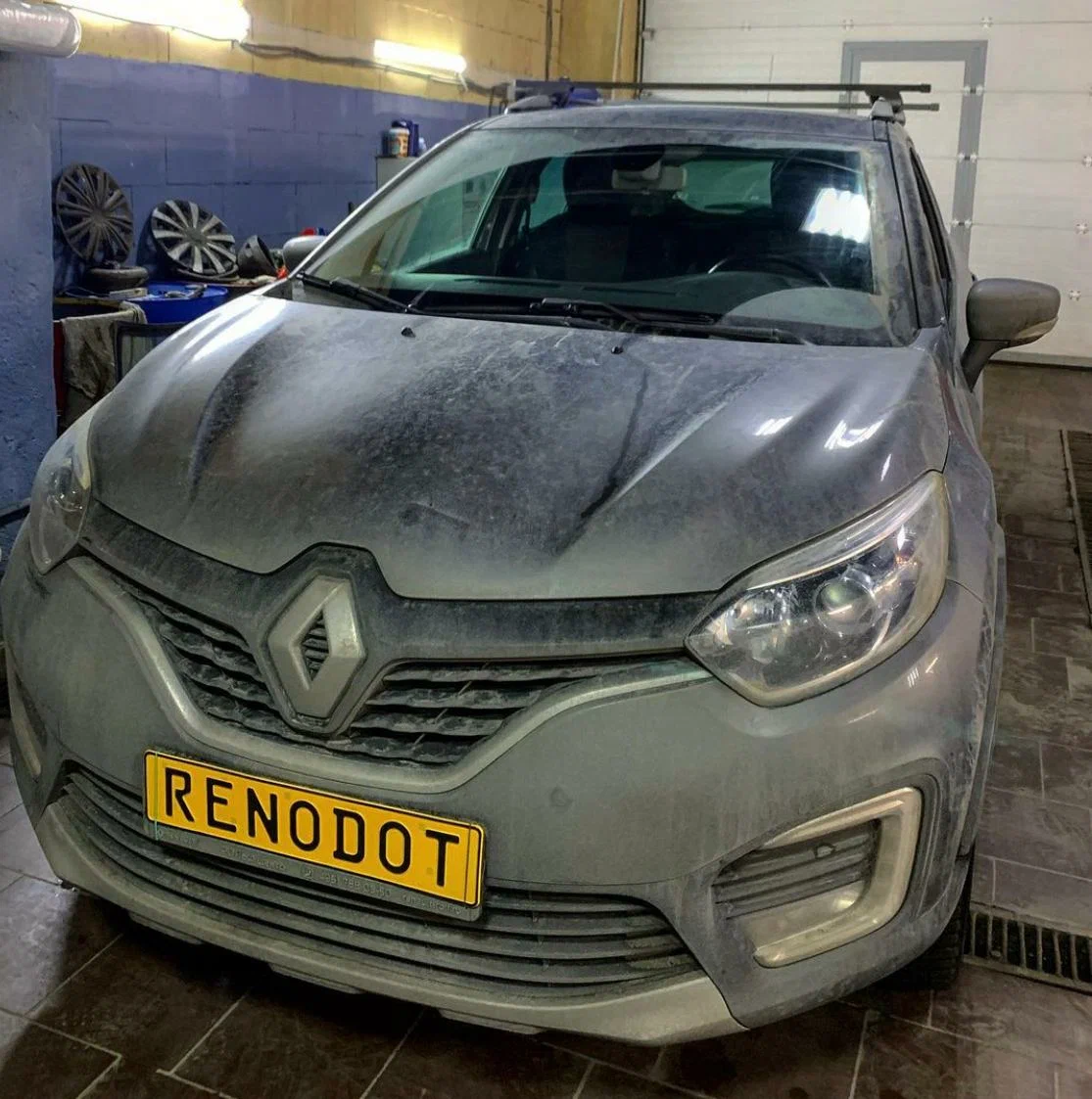 Ренодот